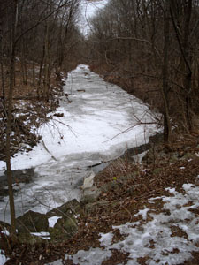 Warden Woods