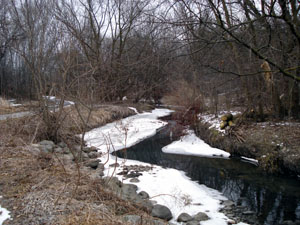 St. Clair Ravine